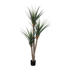 AT1524 - PANDANUS