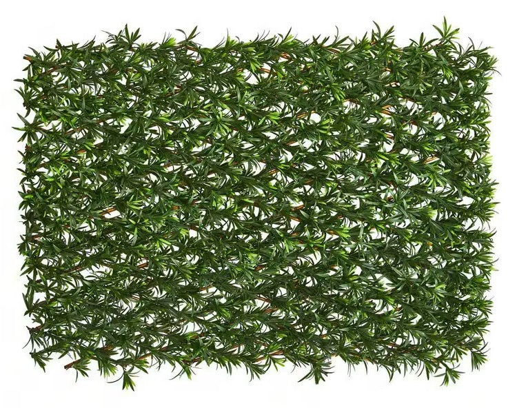 PP4301-EXPANDABLE PODOCARPUS MAT