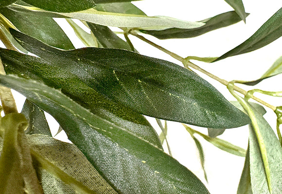 P1406-OLIVE FRUIT TREE W/2496 LVS, 84 FRUIT