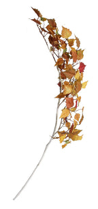 P1107 -  BIRCH BRANCH