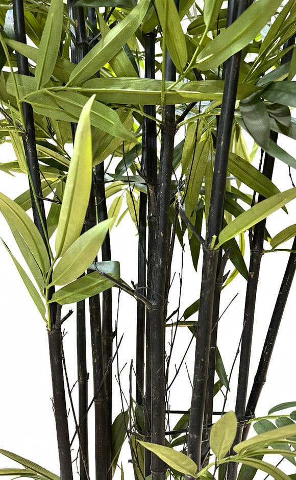 P1379, P1380, P1381, P1382