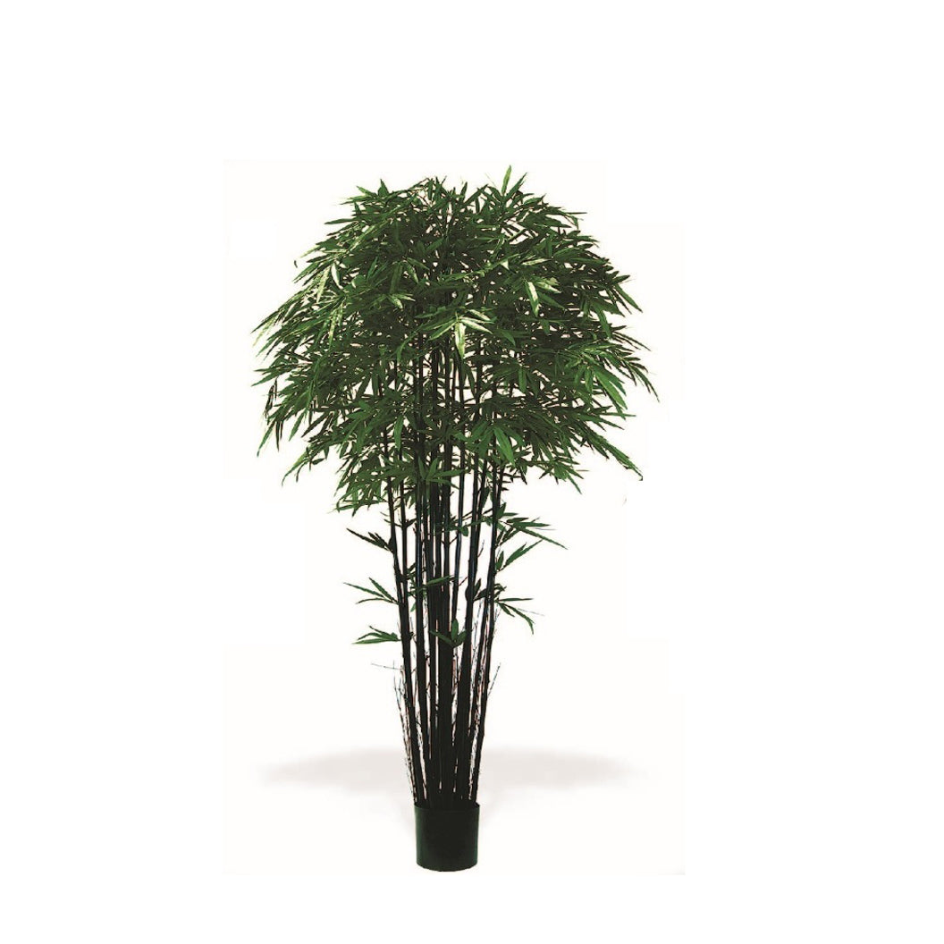 P1380- BAMBOO TREE