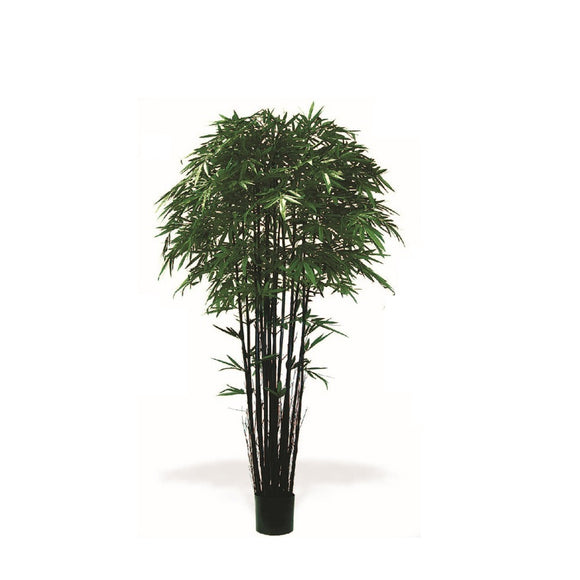 P1380- BAMBOO TREE