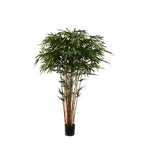 P1380- BAMBOO TREE