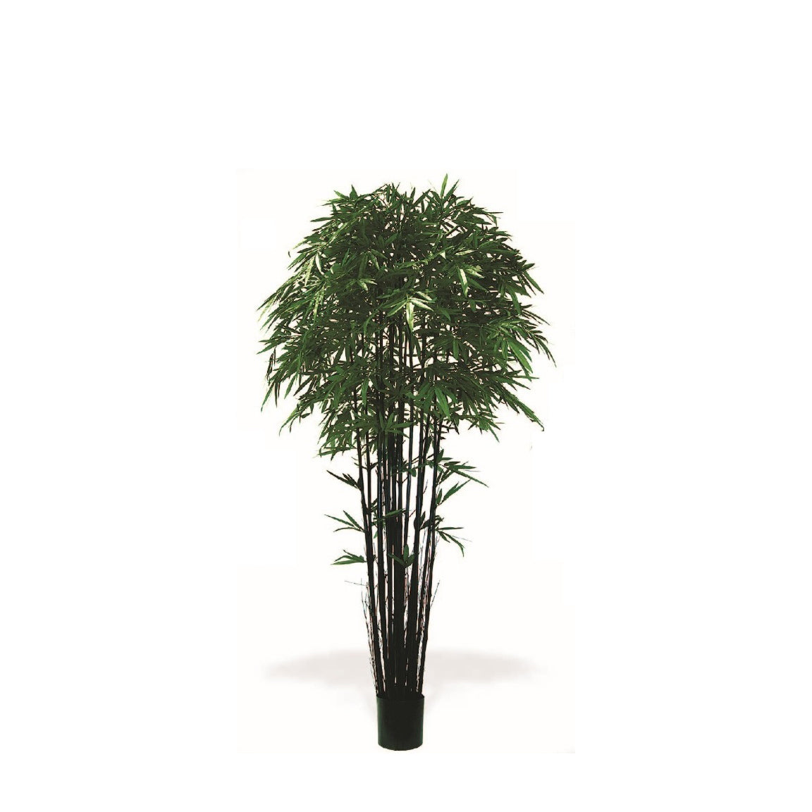 P1379, P1380, P1381, P1382