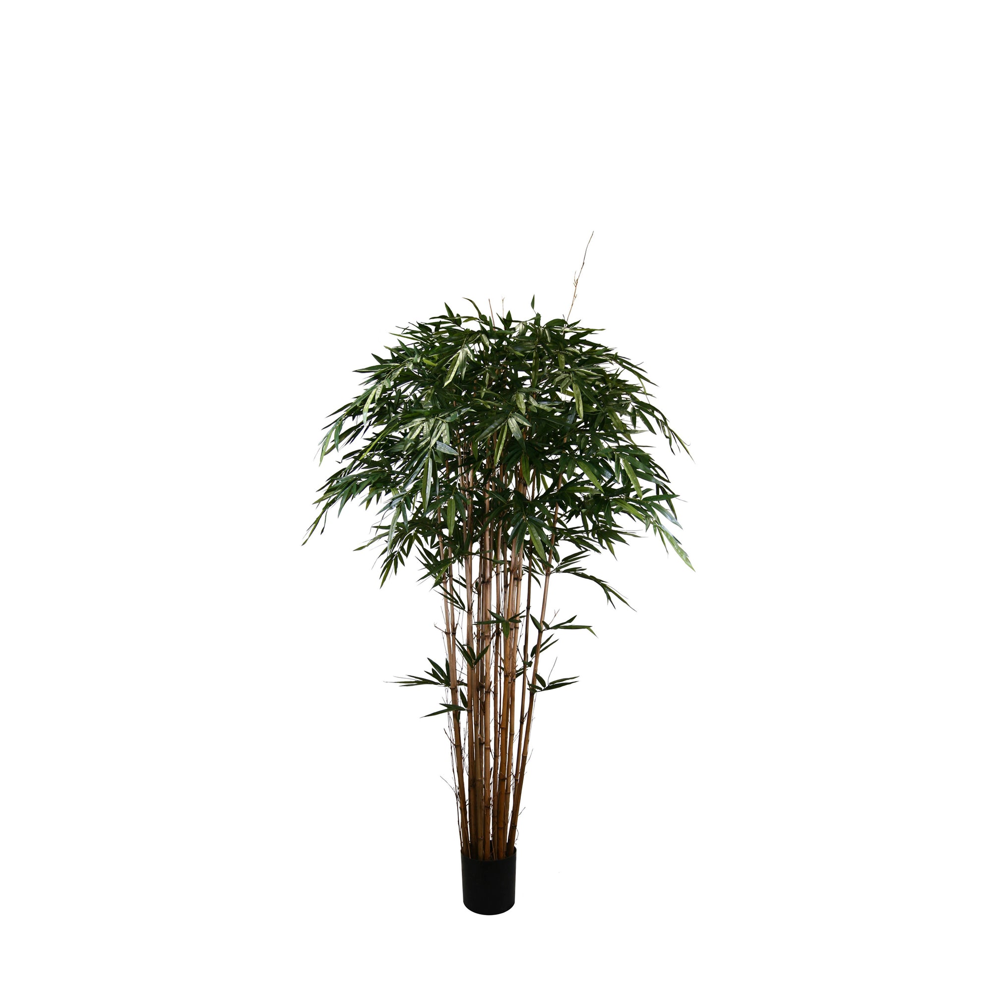 P1379, P1380, P1381, P1382