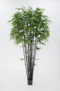 P1382-BAMBOO TREE