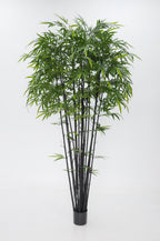 P1382-BAMBOO TREE