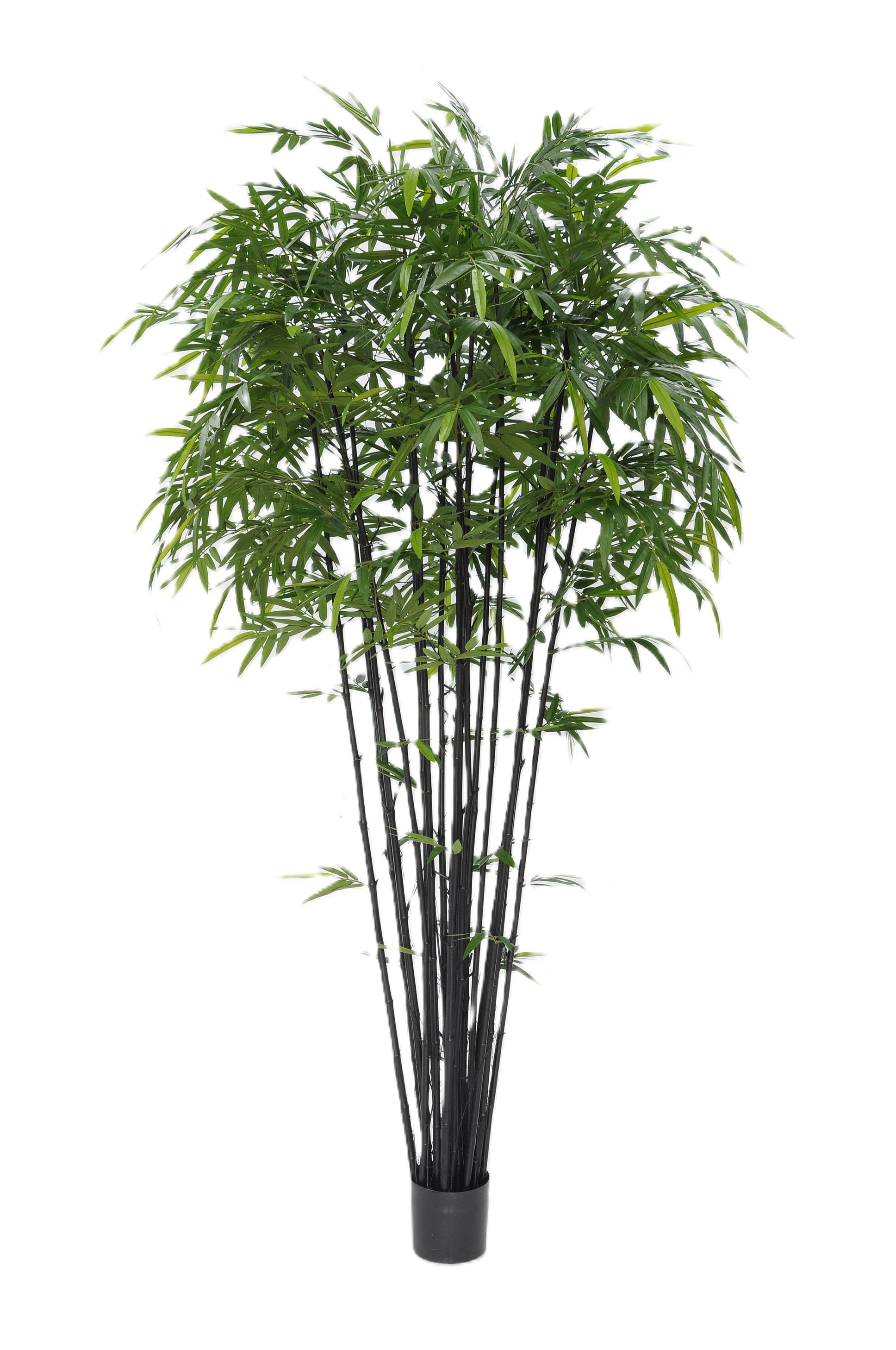 P1379, P1380, P1381, P1382