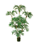 P1423 - BAMBOO PALM