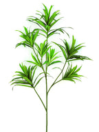 P1424-5  4.75' DRACAENA REFLEXA TREE