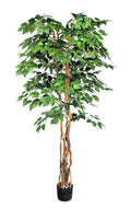 P1476-FANCY TRUNK IN NATURAL WOOD