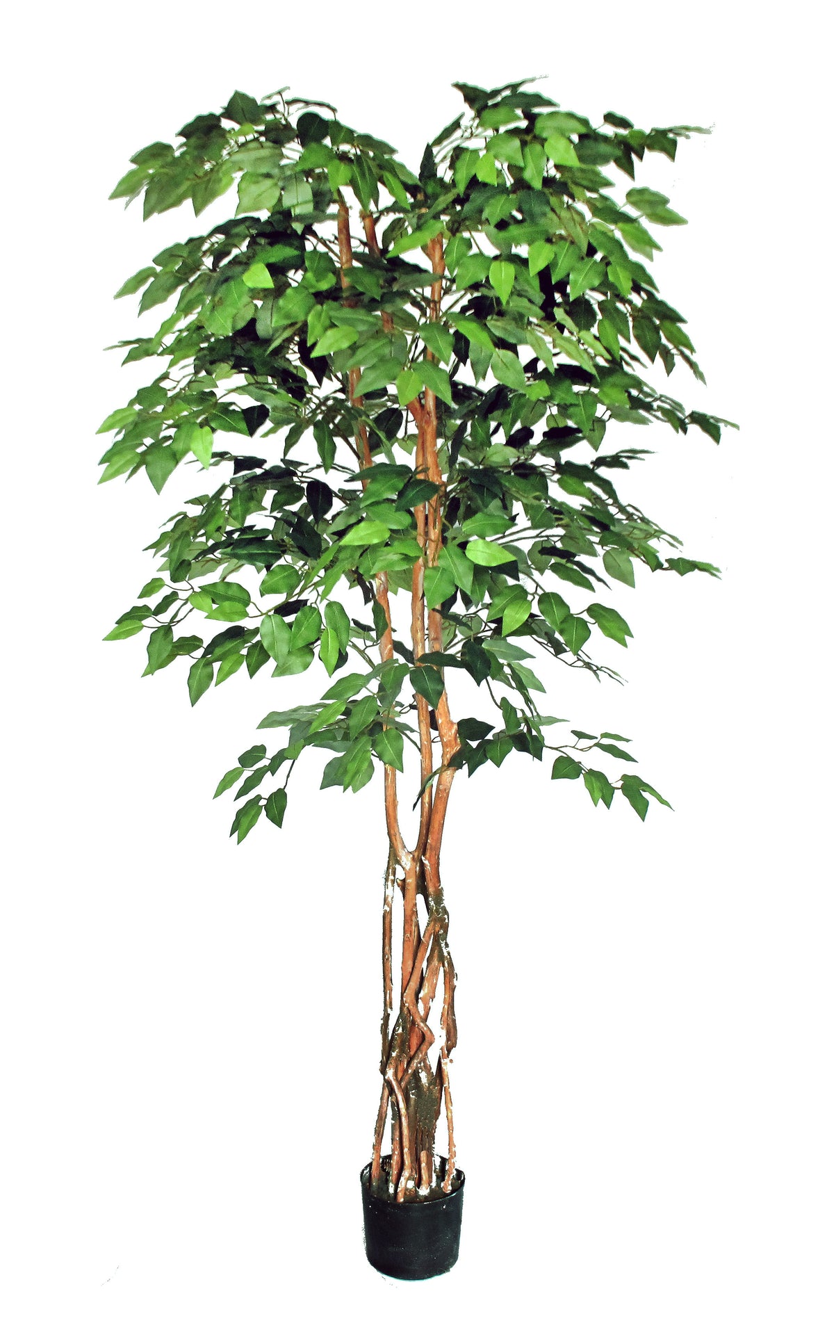 P1476-FANCY TRUNK IN NATURAL WOOD