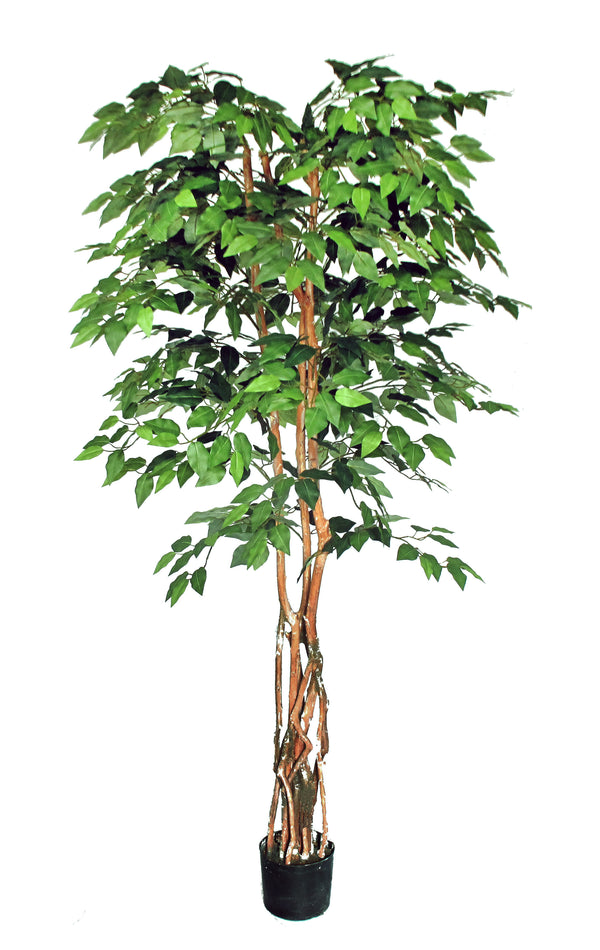 P1476-FANCY TRUNK IN NATURAL WOOD