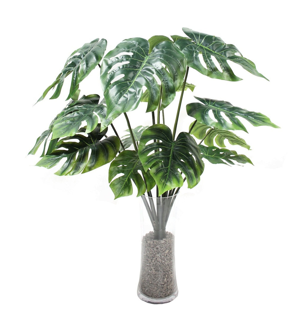 P1483N-UNPTD SPLIT PHILO BUSH