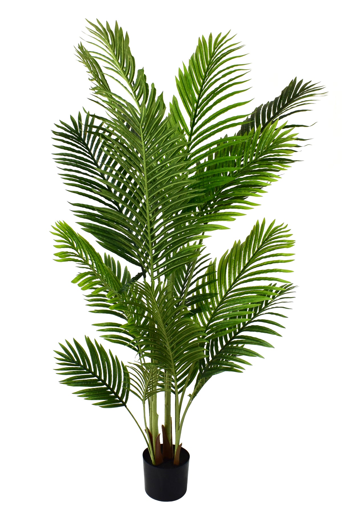 P1489-PALM TREE 2-TONE GREEN
