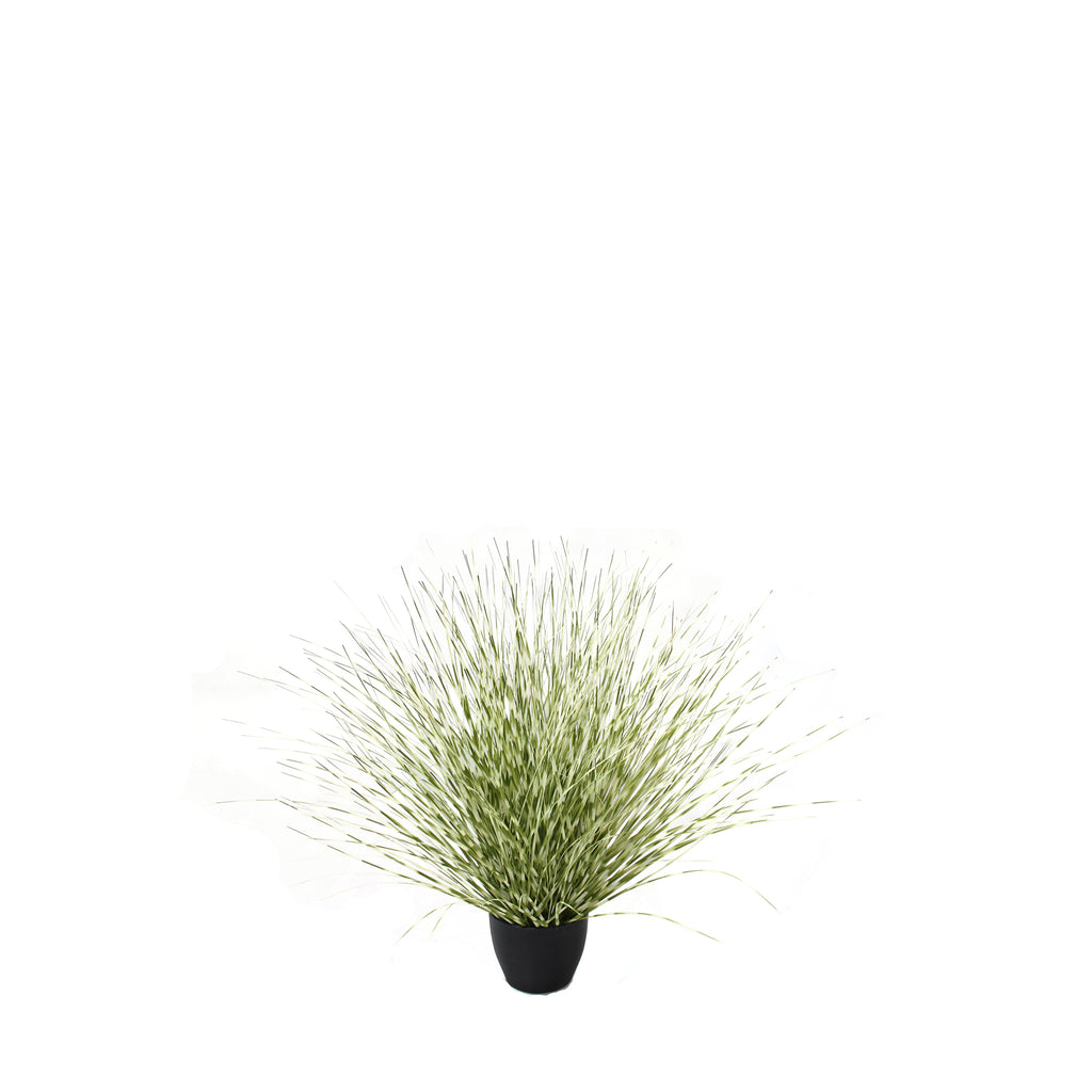 P1519R-ZEBRA RIVER GRASS