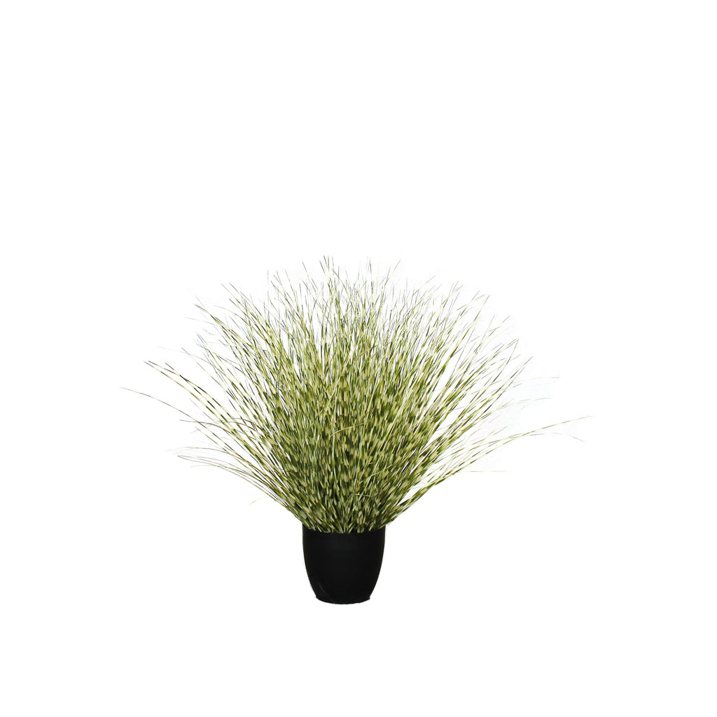 P1519R-ZEBRA RIVER GRASS