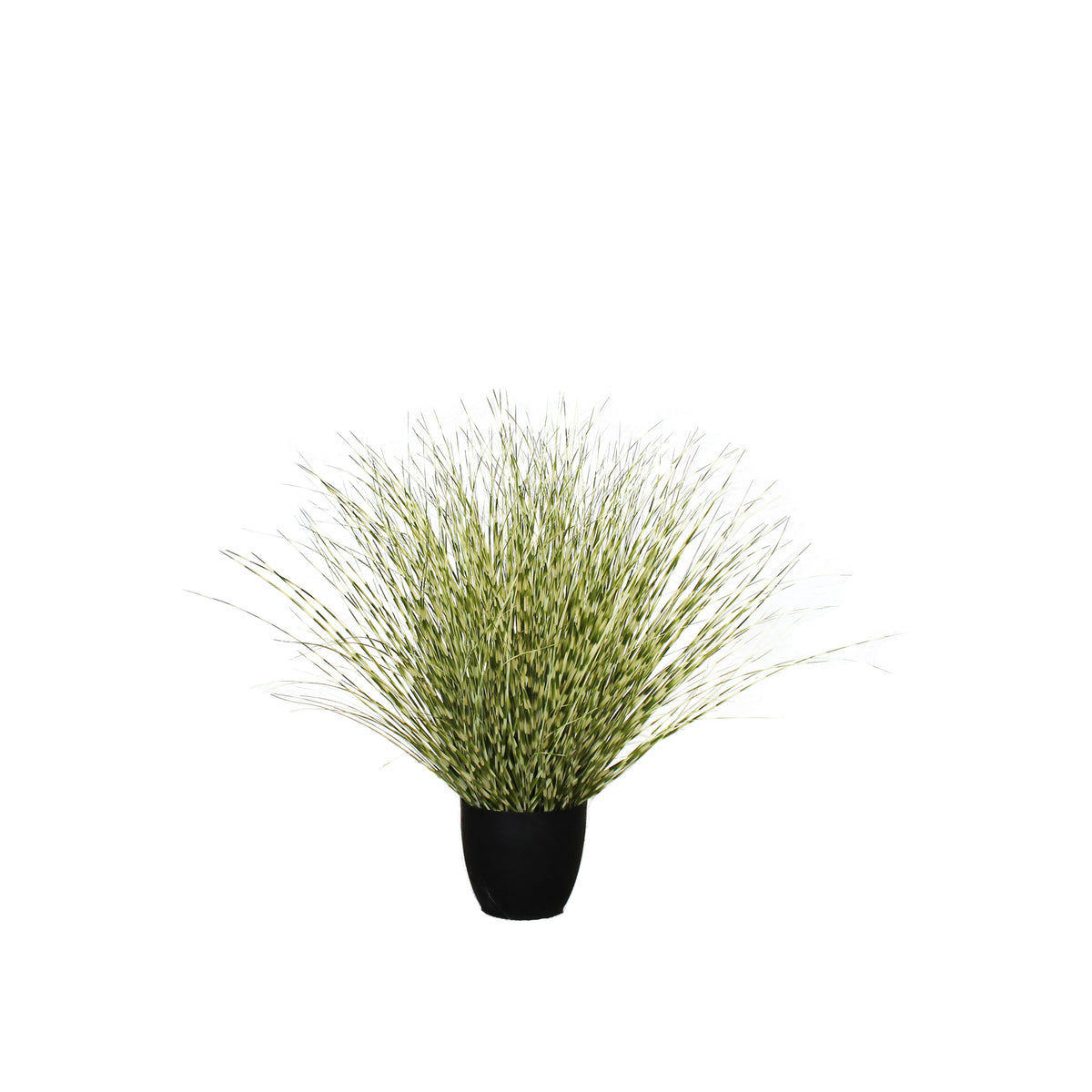 P1519R-ZEBRA RIVER GRASS