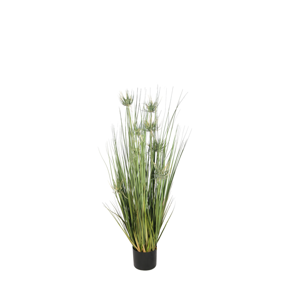 P1520-Sunny Flower Grass