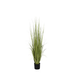 P1534-RANCH GRASS