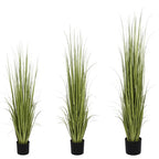 P1534-RANCH GRASS