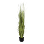 P1534-RANCH GRASS