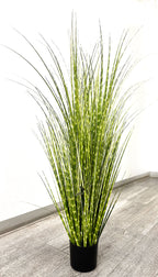 P1539-SPOTTED GRASS