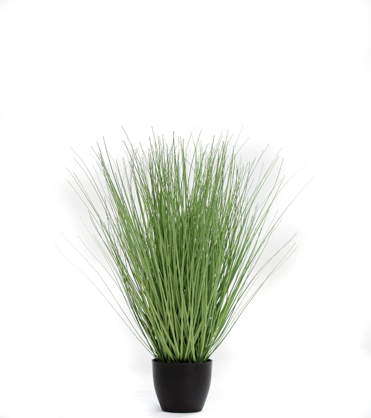 P1540R-RIVER GRASS