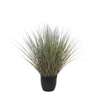 P1540R-RIVER GRASS