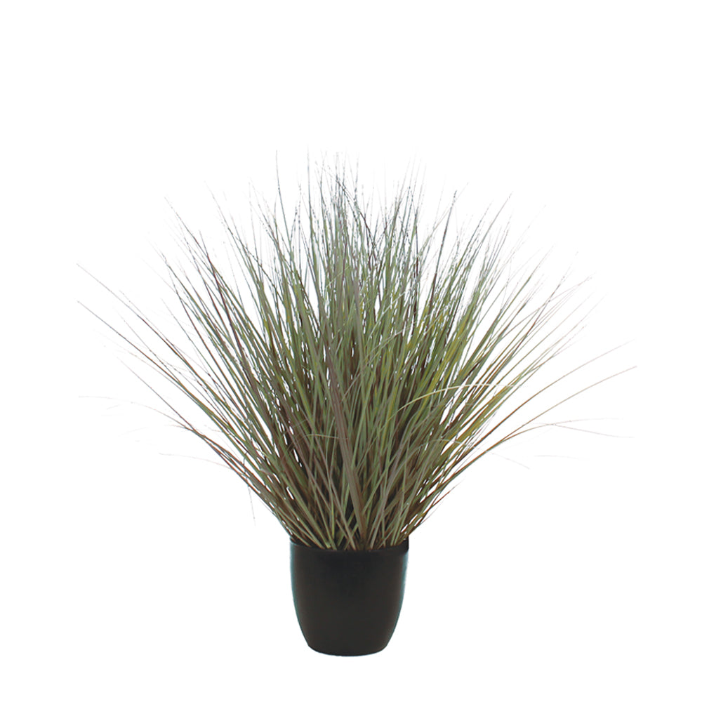 P1540R-RIVER GRASS