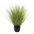 P1540R-RIVER GRASS