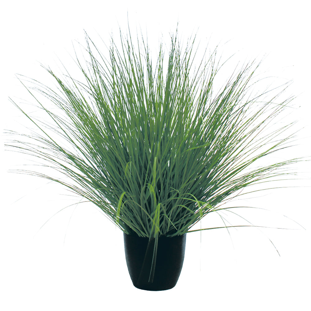 P1540R-RIVER GRASS