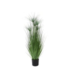 P1543-PAPYRUS GRASS