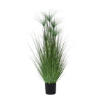 P1543-PAPYRUS GRASS