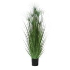 P1543-PAPYRUS GRASS