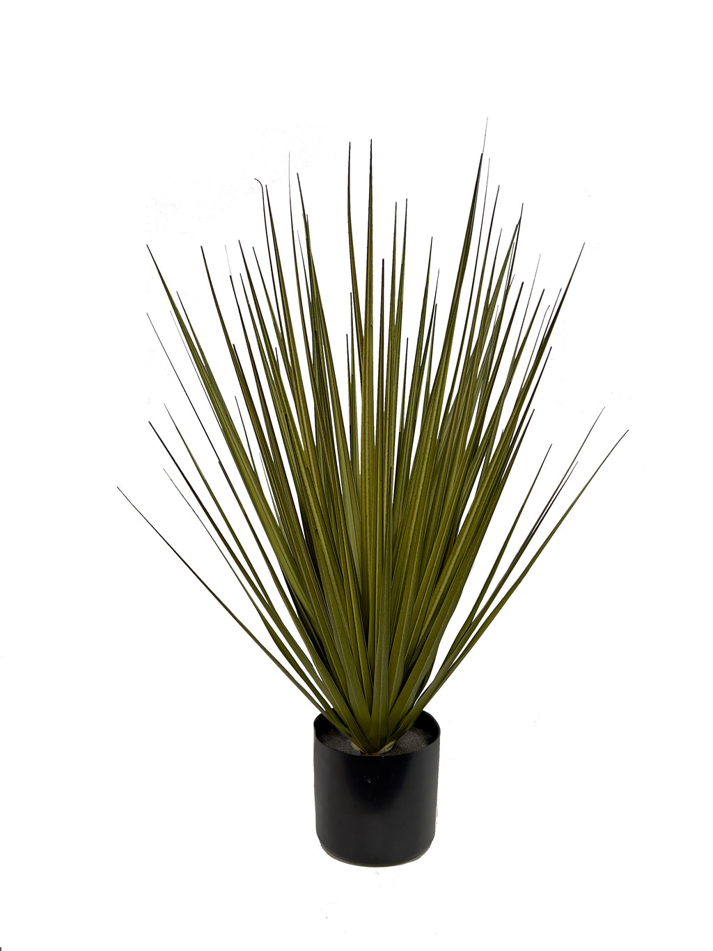 P1545-NEW GRASS BUSH
