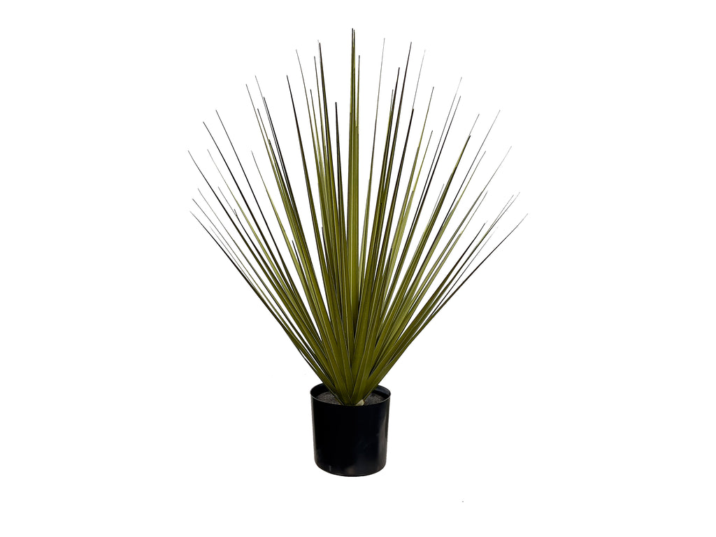 P1545-NEW GRASS BUSH