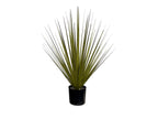 P1545-NEW GRASS BUSH