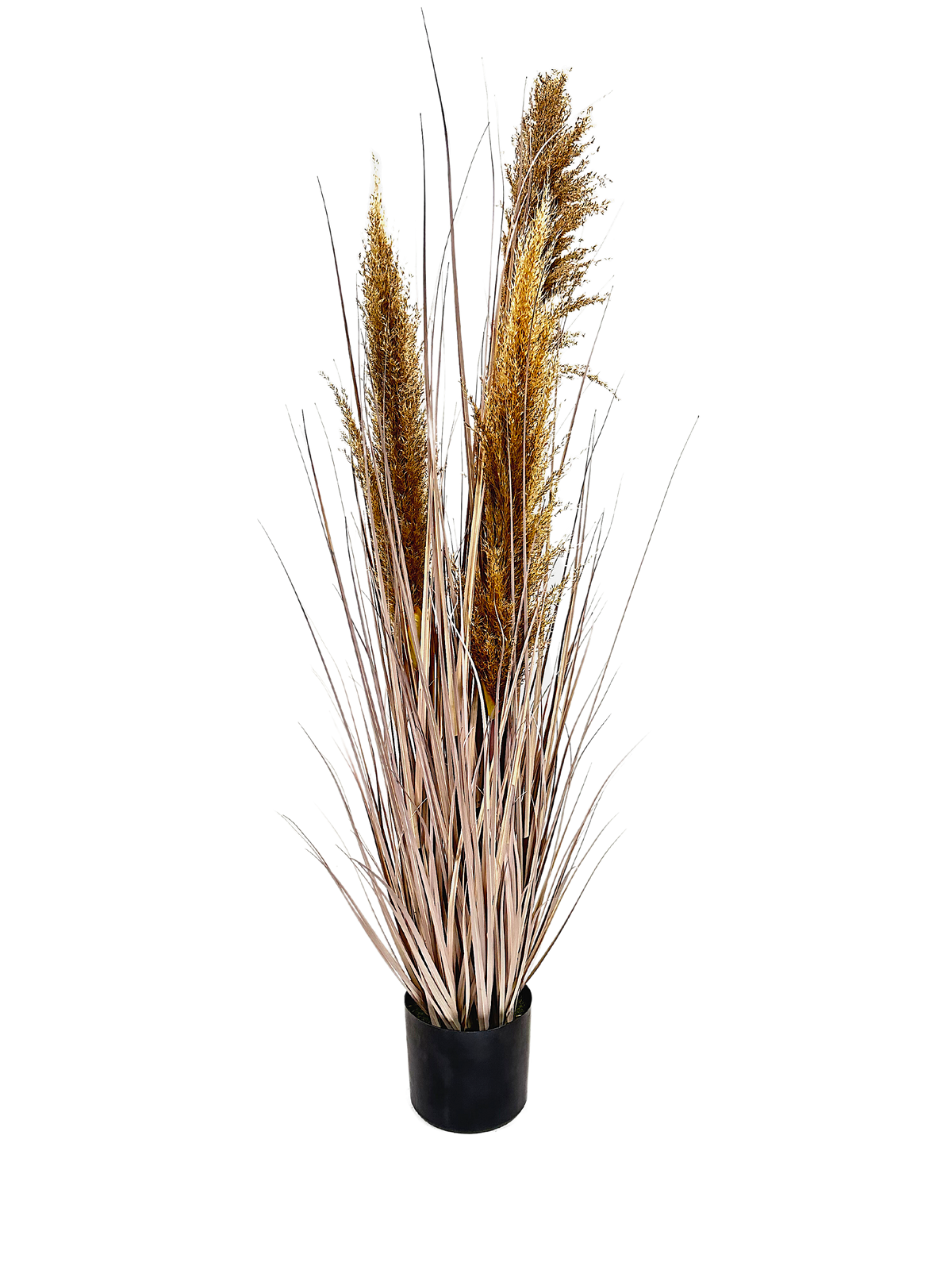 P1546-4GRY - PTD DRIED PAMPAS GRASS WITH POT LIGHT BROWN