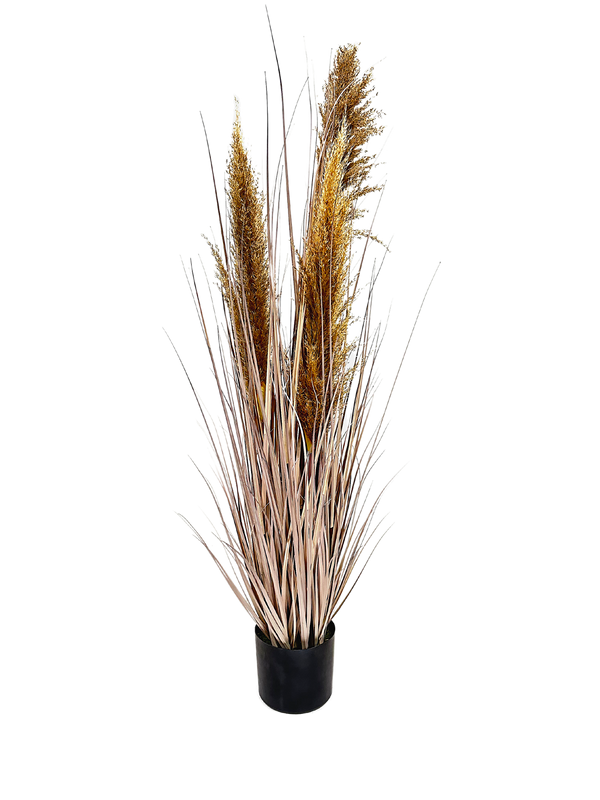 P1546-4GRY - PTD DRIED PAMPAS GRASS WITH POT LIGHT BROWN