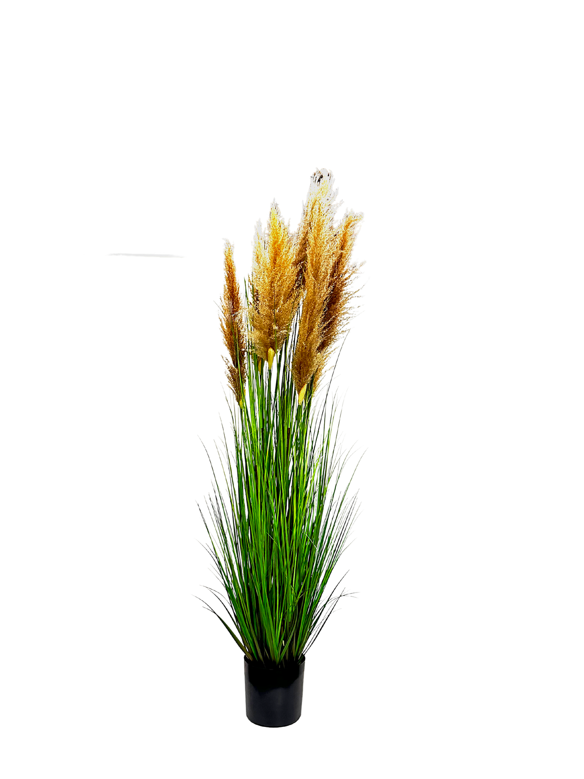 P1546-6LTBN -  PTD DRIED PAMPAS GRASS WITH POT LIGHT BROWN