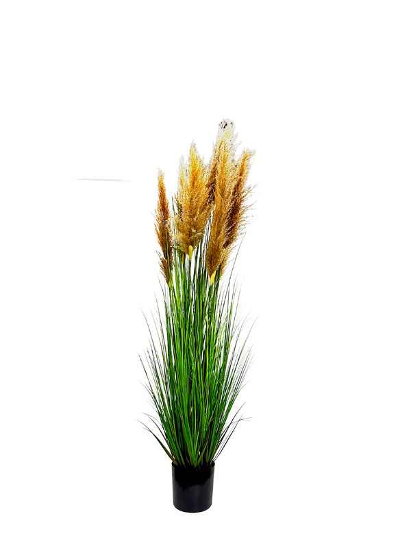 P1546-6LTBN -  PTD DRIED PAMPAS GRASS WITH POT LIGHT BROWN