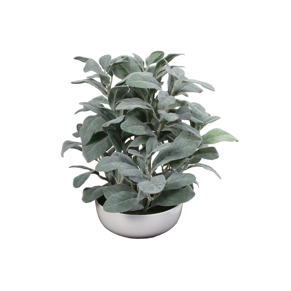 P1588-FROSTED LEMON LEAF IN WHITE POT