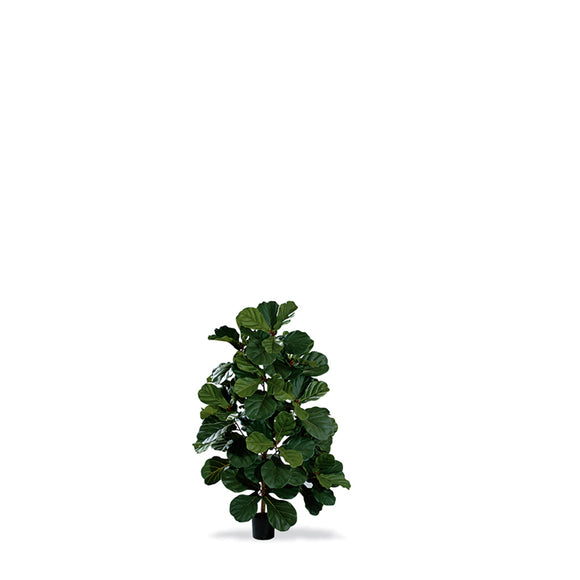 P1602
