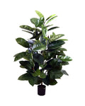 P1604-RUBBER PLANT