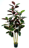 P1605-6