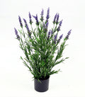 P1609UV-22BL  UV LAVENDER