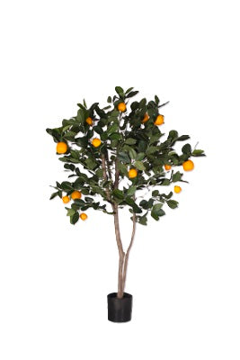 P1610-ORANGE TREE