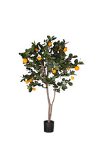 P1610-ORANGE TREE